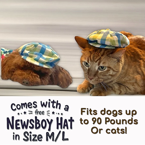 Vibrant Life Dog Plaid Bow Tie Harness - Picture 3 of 15